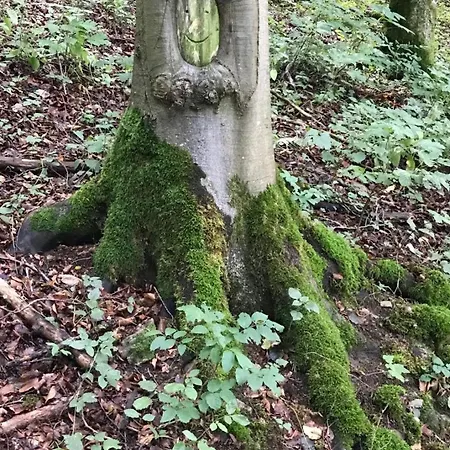 Freistehendes Mit Kamin, Sauna, Atemberaubenden Blick Ins Tal, Mehrere Terrassen, 1500qm Grundstueck 1,6m Hoch Eingezaeunt Gerabronn